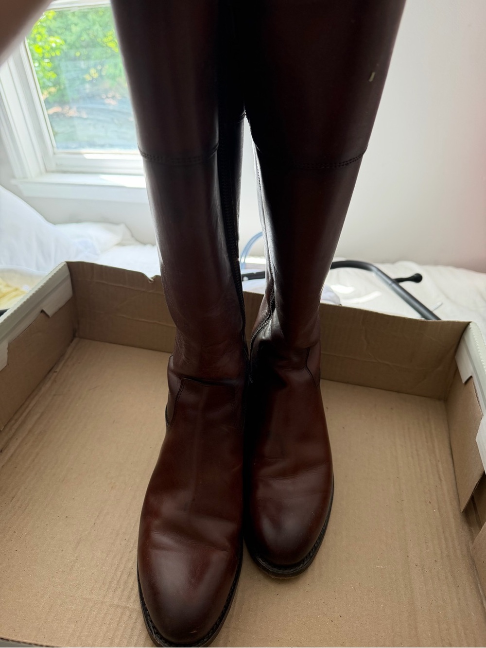 FRYE AND CO. Women's Tall Leather Riding Boots in Brown
